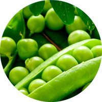 Tensioactivo de proteinas de guisante