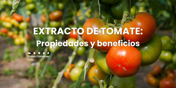 Extracto de Tomate: Propiedades y Beneficios