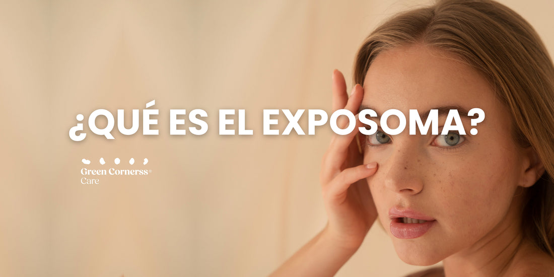 ¿Qué es el exposoma?