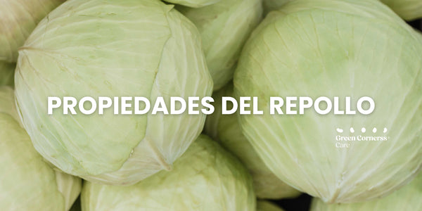 Propiedades del repollo y sus beneficios
