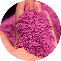 Extracto de arroz púrpura