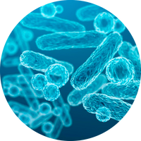 BioEcolia®